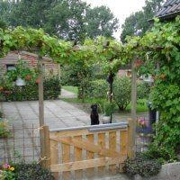 Bed & Breakfast De Hoefijzer
