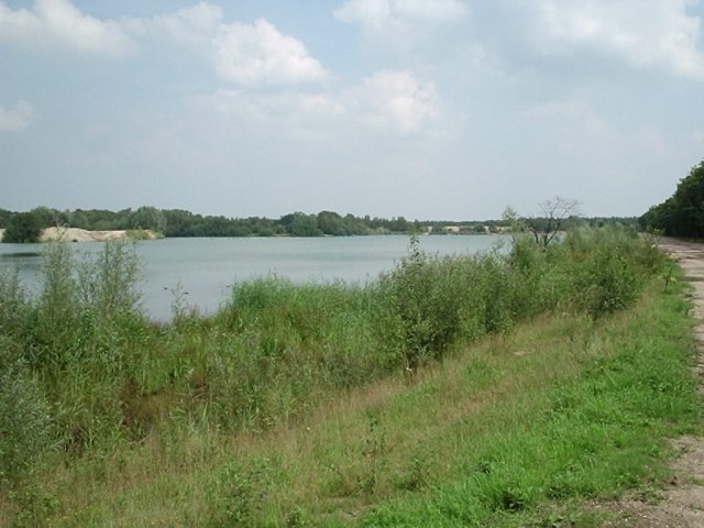 Wandelen en fietsen langs de Maasmeanders vanuit Bed and Breakfast De Hoefijzer